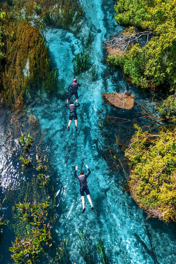 Bonito Natureza Viva