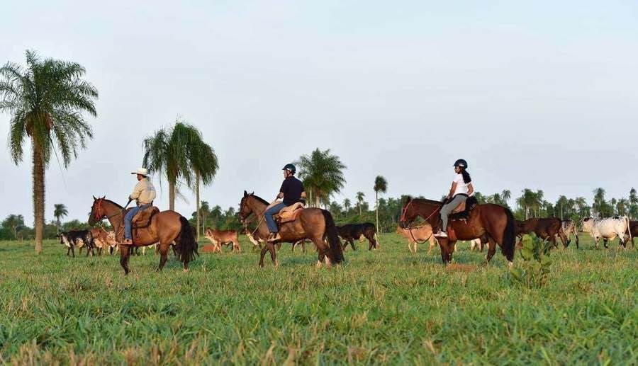Cavalgada Rio da Prata — atrativo turístico em Bonito, MS