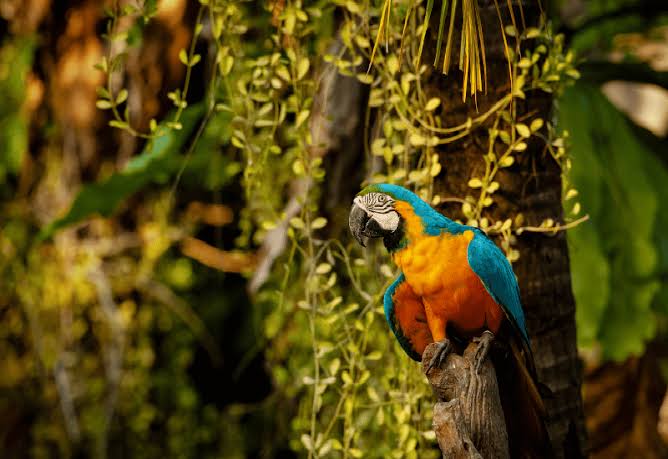Bonito MS: Passeios e Belezas Naturais Imperdíveis
