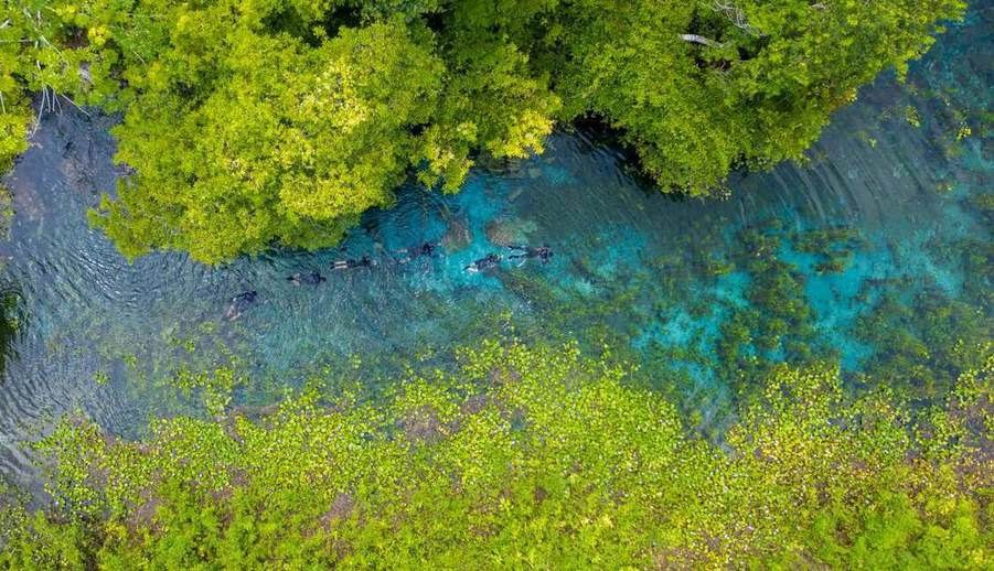 Fervedouro Rio Azul + Flutuação — passeio em Bonito, MS