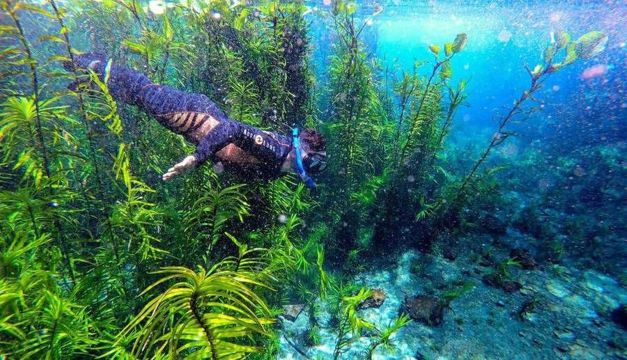 Fervedouro Rio Azul + Flutuação — atrativo turístico em Bonito, MS