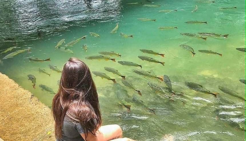 Ilha Bonita — atrativo turístico em Bonito, MS