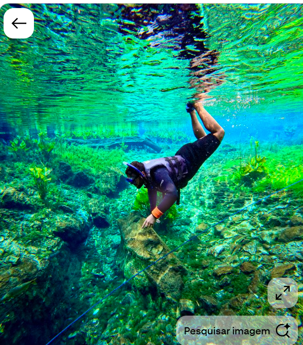 Bonito Exclusive