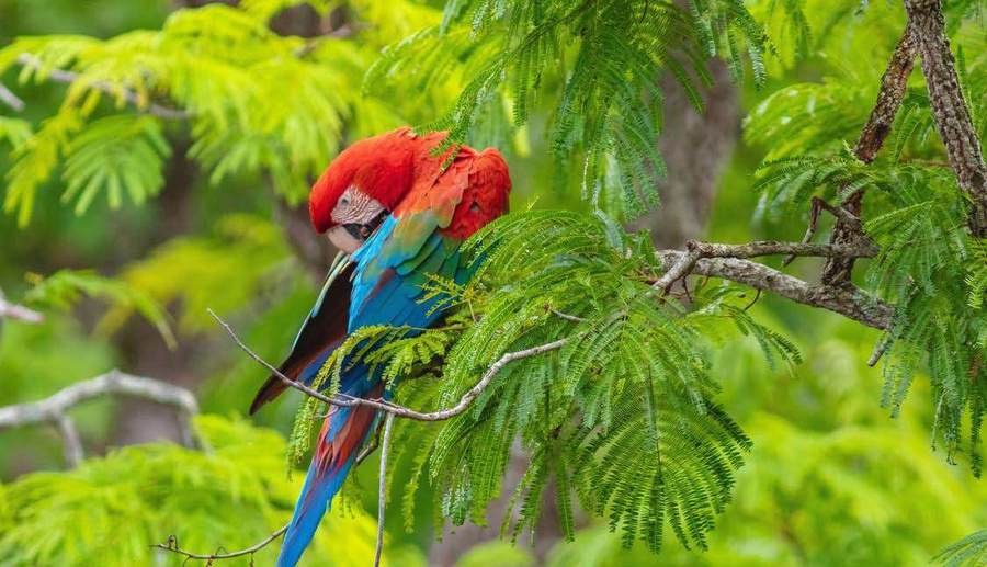 Buraco das Araras — atrativo turístico em Bonito, MS